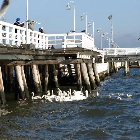 Mieszkanie W Gornym Sopocie Appartamento Sopot